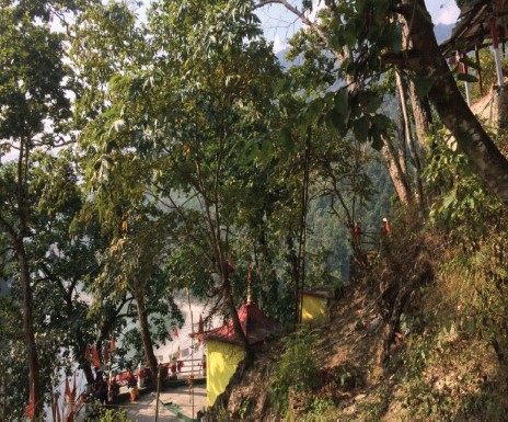 Kalkani Devi Mandir Sacred Grove