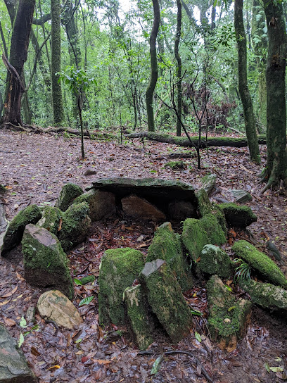 Mawphlang Sacred Grove / Law Lyngdoh