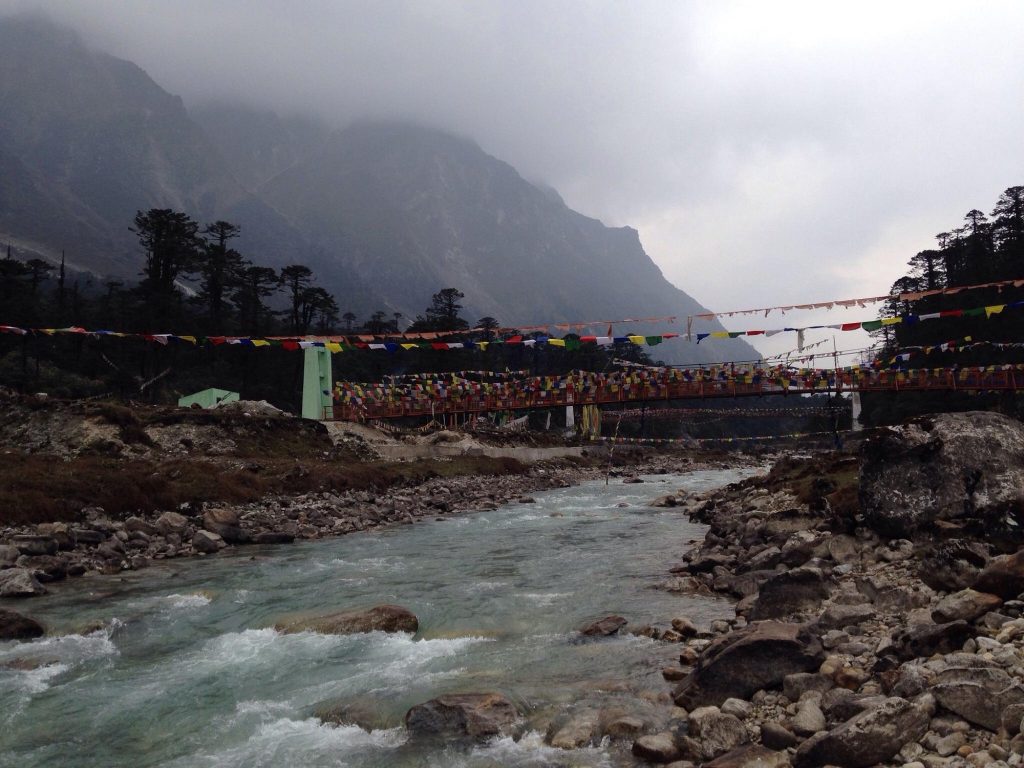 Phur chachu Sacred Grove